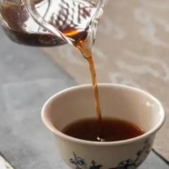 遵义毛峰属于什么茶种