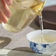 兰馨雀舌的保存方法