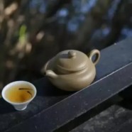 天目湖白茶有保质期吗