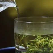 峨蕊有哪些特征
