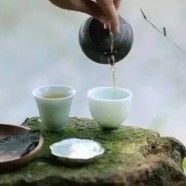 绿宝石茶叶多少钱一斤