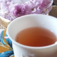 文君嫩绿属于什么茶