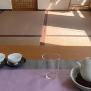 羊岩勾青功效