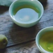 屯溪绿茶是什么茶