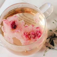 喝桃花茶一般放几朵