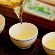 蒲公英决明子茶的功效禁忌有哪些