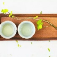 阳羡雪芽的背后的故事