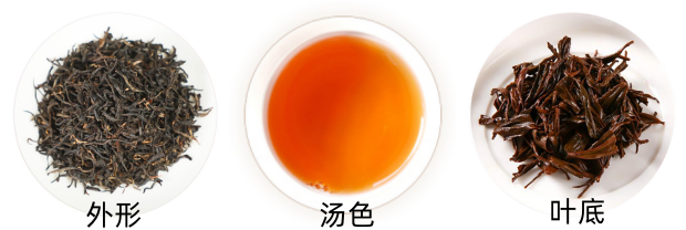 越红工夫茶品质特征.png