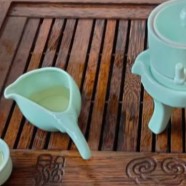 金山翠芽是什么茶