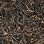 越红工夫茶