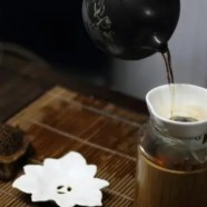 金刚碧绿多少钱一斤
