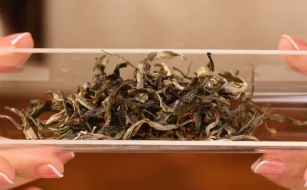 普洱茶越陈越香是什么意思.png