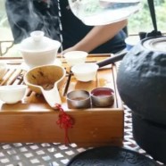 仙人掌茶有哪些制作方法