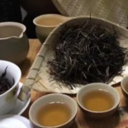 购买清溪玉芽茶多少钱一斤