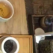 千岛玉叶具备什么特点