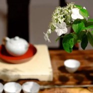 麻姑茶的制作工艺