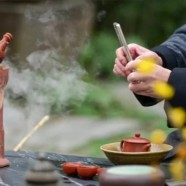 敬亭绿雪泡多久最佳
