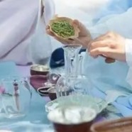 安吉白片好还是白茶好喝