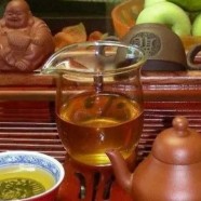 金坛雀舌什么档次