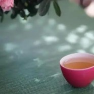 桂林毛尖茶的由来