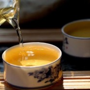 普陀佛茶为什么不出名