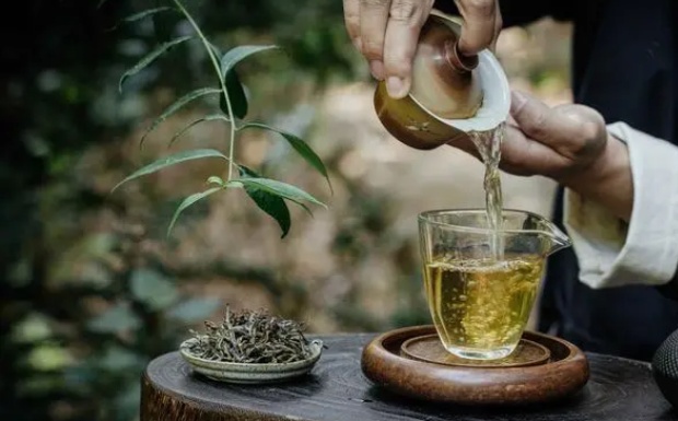 英山云雾茶的功效与作用.jpg
