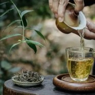 英山云雾茶的功效与作用