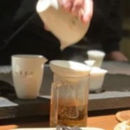 秦巴雾毫茶叶特点是什么
