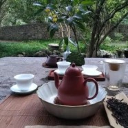 瑞草魁茶叶价格