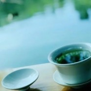 峨眉峨蕊茶的功效