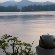 通天岩茶功效