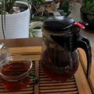 大鄣山云雾茶的品质特点