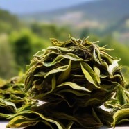 南山寿眉是绿茶吗