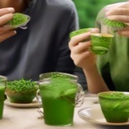 竹叶青茶有哪些功效与作用