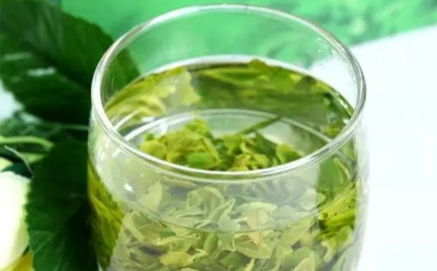 蒙顶茶有哪些特点.jpg