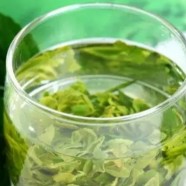 蒙顶茶有哪些特点