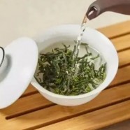鸠坑毛尖的品质特征