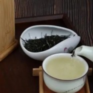老竹大方如何储存
