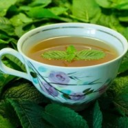 桂东玲珑茶的特点有哪些