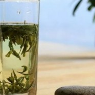 苍山雪绿的历史