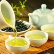 滇青的特点是什么