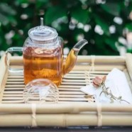 蒲江雀舌属于什么茶