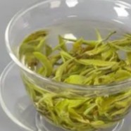 普陀佛茶属于什么茶