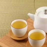 太白银毫如何存储