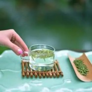 汀溪兰香茶冬天可以喝吗