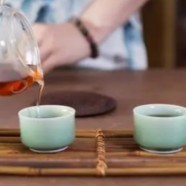 乌牛早茶上市时间