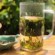 遵义毛峰茶产地