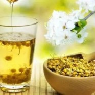 泉岗辉白是什么茶