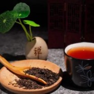 绿宝石茶产于贵州哪里