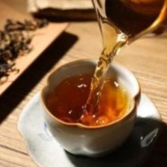 南糯白毫可以在哪里买